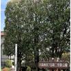 公園