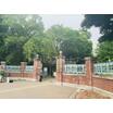 大学