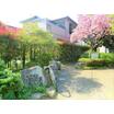 公園