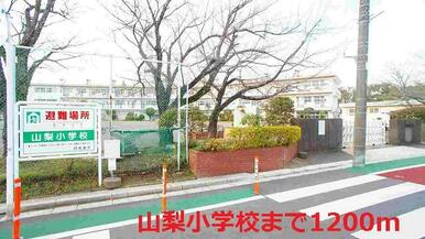 山梨小学校