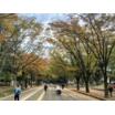 公園