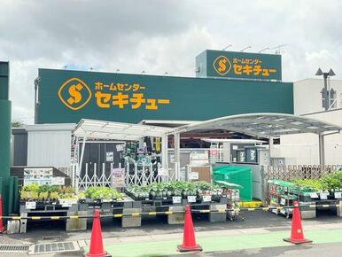 セキチュー狭山北入曽店