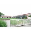 幼稚園、保育園