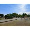 公園