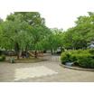 公園