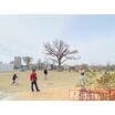 公園