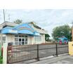 幼稚園、保育園