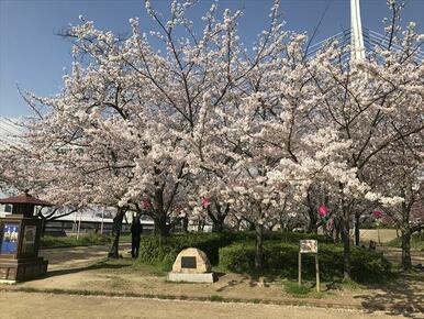 天保山公園