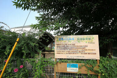 空飛ぶ三輪車・秋津保育園