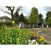 公園