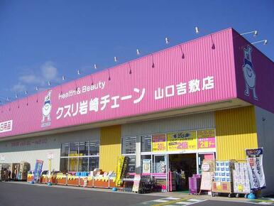 クスリ岩崎チェーン