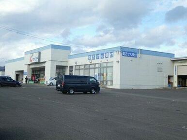 カワチ薬品 笹谷店