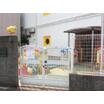 幼稚園、保育園
