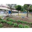 幼稚園、保育園