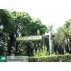 公園