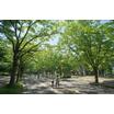 公園