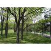 公園