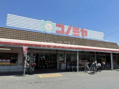 （株）コノミヤコンツネ 甚目寺店