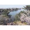 公園