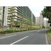 幼稚園、保育園