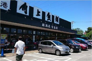 角上魚類川口店