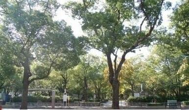 高松市中央公園さん