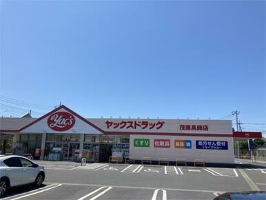 ﾔｯｸｽﾄﾞﾗｯｸﾞ 茂原高師店