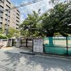 幼稚園、保育園
