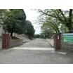 小学校