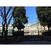 小学校
