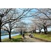 公園