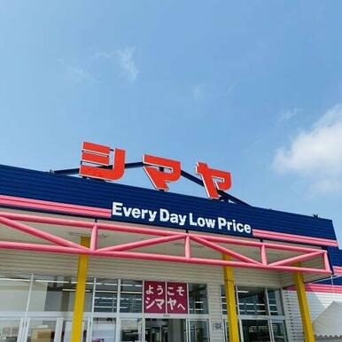 ジョイフルシマヤ 豊田店