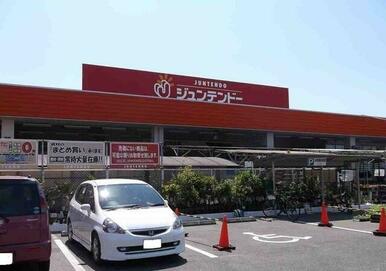 ジュンテンドー