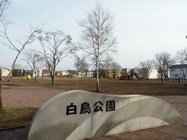 白鳥公園