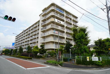 南側に公園があり　公園の目の真上の部屋です。