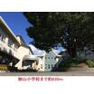 小学校
