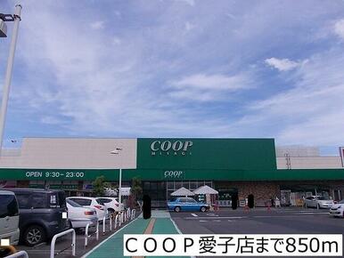 ＣＯＯＰ愛子店
