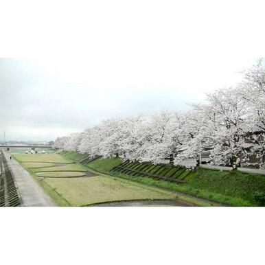 小矢部河川公園