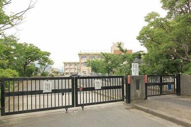中間南小学校