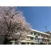 小学校