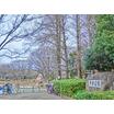 公園