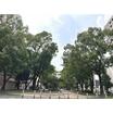 公園