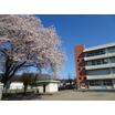 小学校