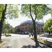 大学