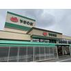 販売店