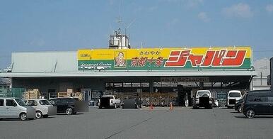 ジャパン 京都十条店