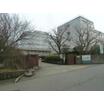 大学