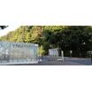 大学