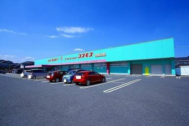 コスモス　女島店