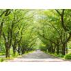 公園